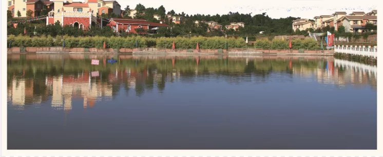 乡村振兴高质量发展十条政策