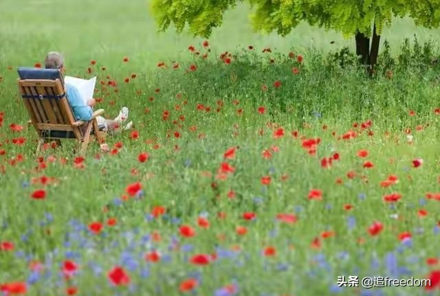 強者思維：不要試圖改變任何人