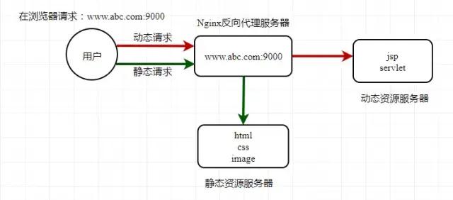 喜极而泣，我终于学会了Nginx！