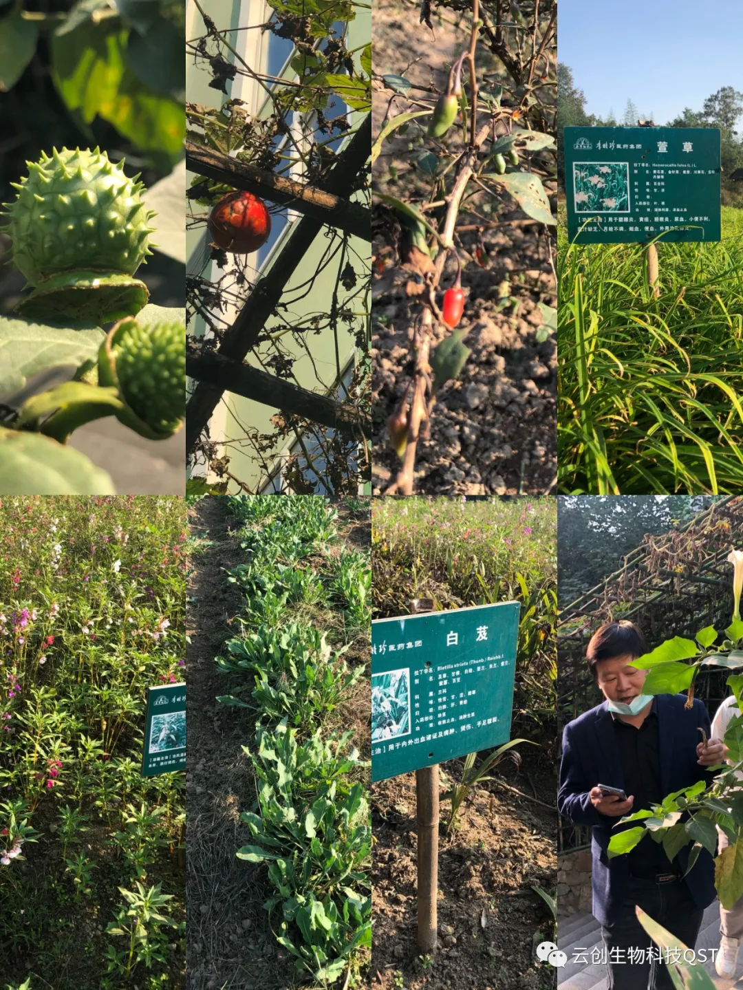 专业专注，匠心可见——中创集团考察团前往李时珍医药集团考察