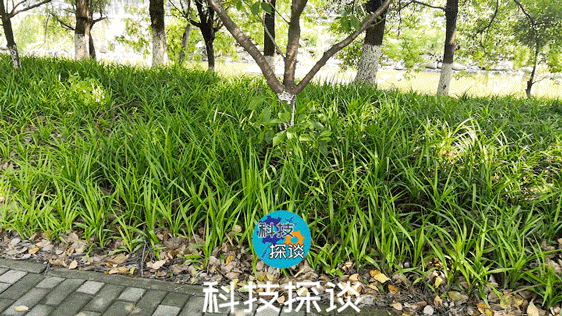 不再为拍摄Vlog发愁，好用不贵的浩瀚小Q云台测评