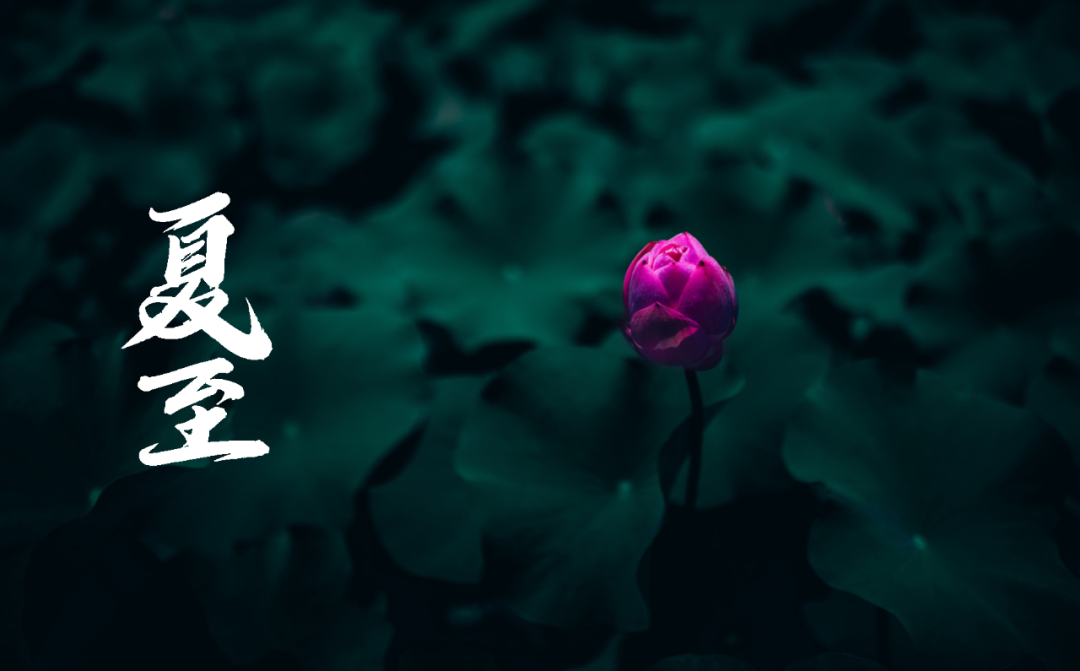 在古诗词里，寻找夏日的美好-第19张图片-非凡网