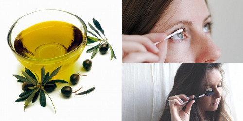为什么橄榄油是地球上最健康的脂肪？
