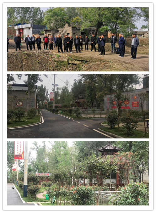 凝心聚力谋发展 观摩学习促提高——青华镇开展人大代表观摩活动