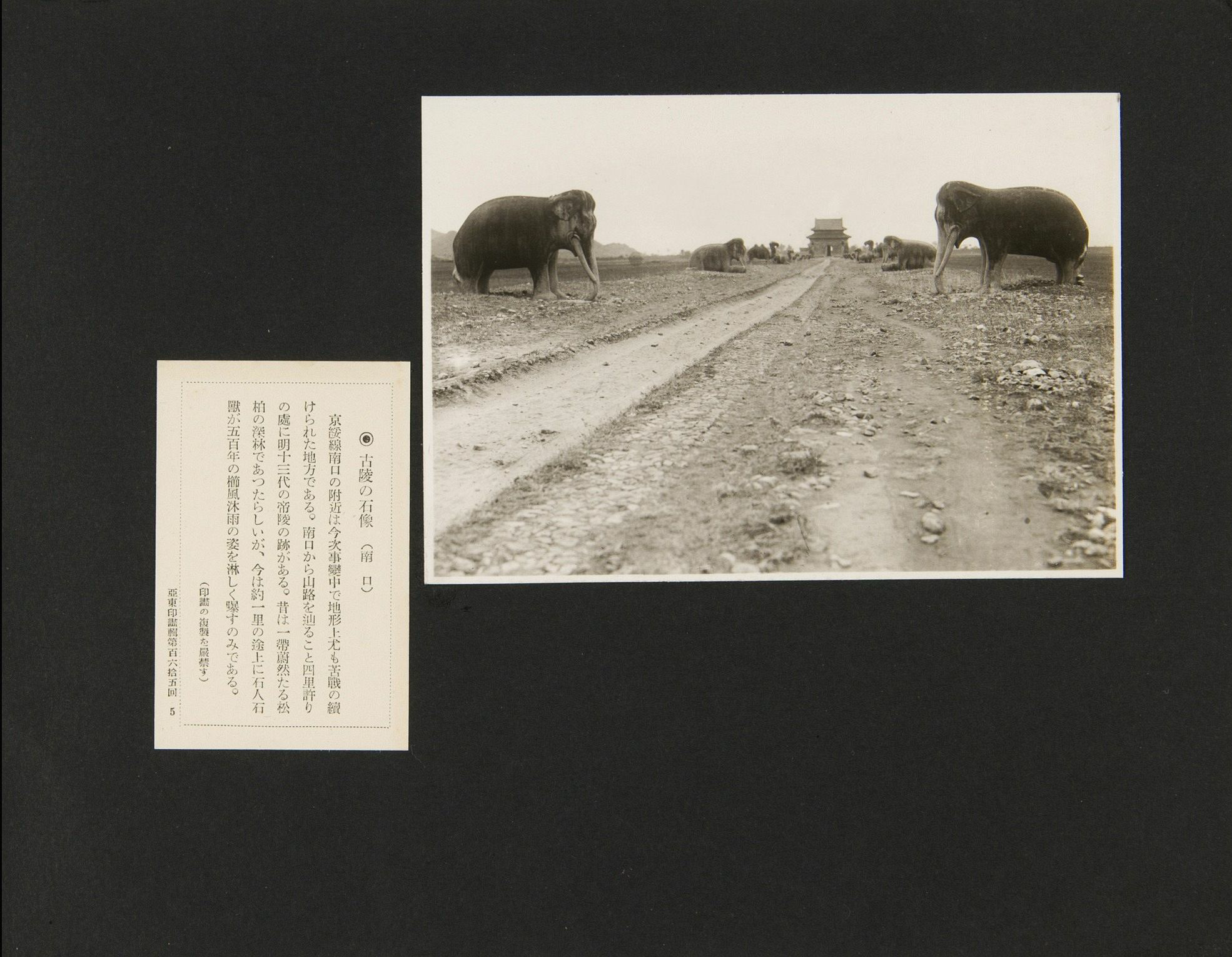 Too precious!  100 years ago old photos of Changping, Ming Tombs, Juyongguan, Xiaotangshan in Beijing