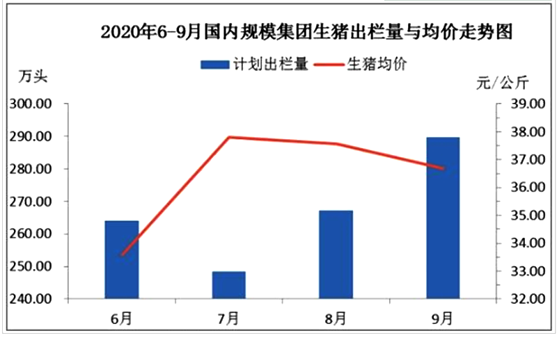 生猪出栏量陡增，9月猪价下跌明显，2020年底前猪价行情预测