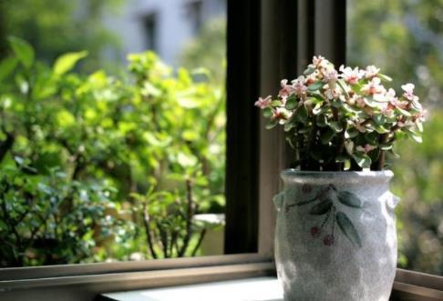 真正聰明的人，一半君子一半小人