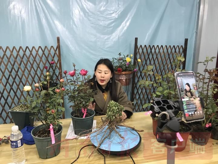 ֱ�������¼�Ʈ��