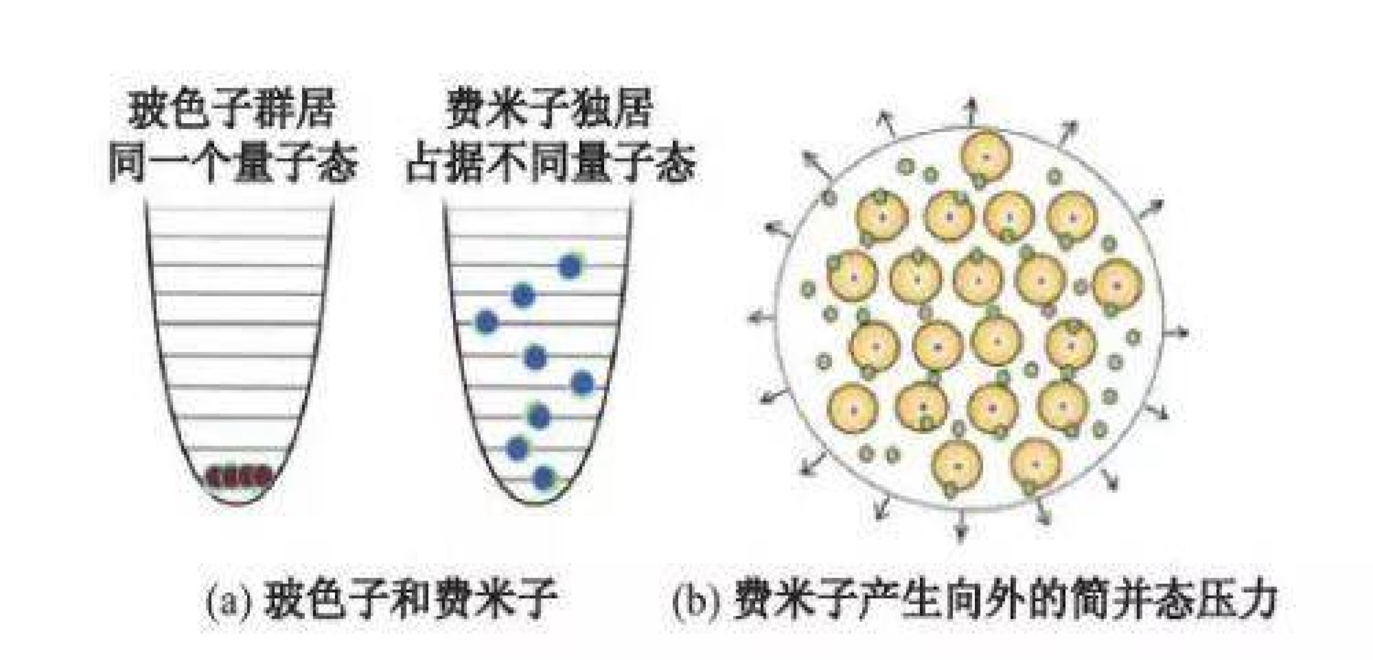 白矮星不断吞食伴星物质，增加自身质量，为啥体积反而变小呢？