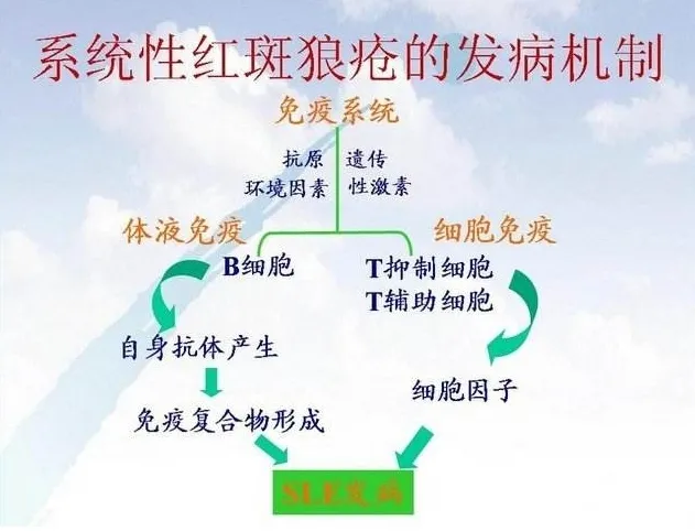 这种“不死的癌症”会“72变”，75岁老奶奶，45岁阿姨都中招了……
