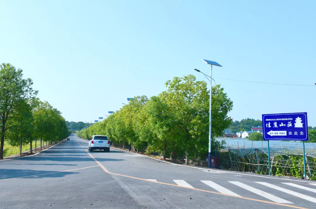 【脱贫攻坚的人大力量】黄秀佳：扎根乡村19年，昔日穷村今朝小康
