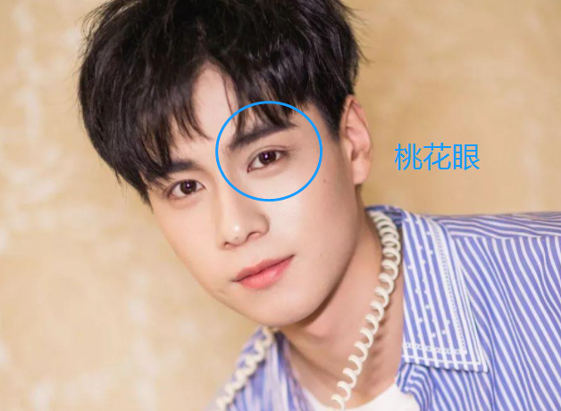 通过眼型看孩子的命运 吊眼梢 桃花眼 你家娃是哪种 团子妈育儿 Mdeditor
