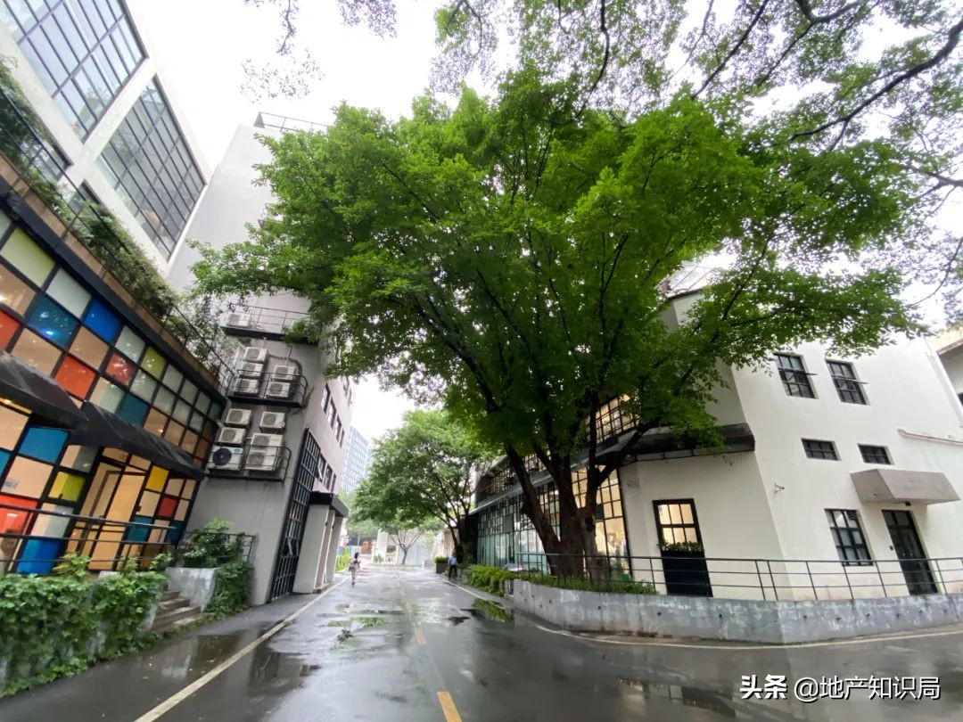 局姐手把手教你做自媒体，来吗？