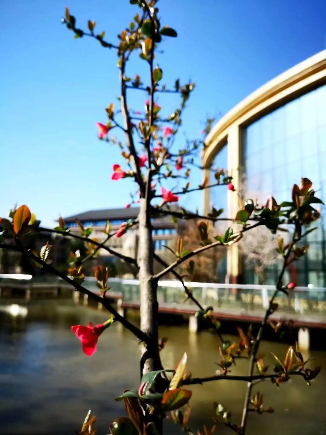 新年教职工第一会、棠湖中学刘凯校长擘画学校“十四五”发展蓝图