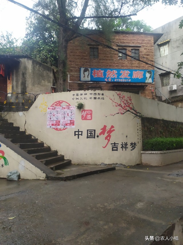 风清扬是马云在阿里巴巴的花名，在这里也是一个有故事的店名。