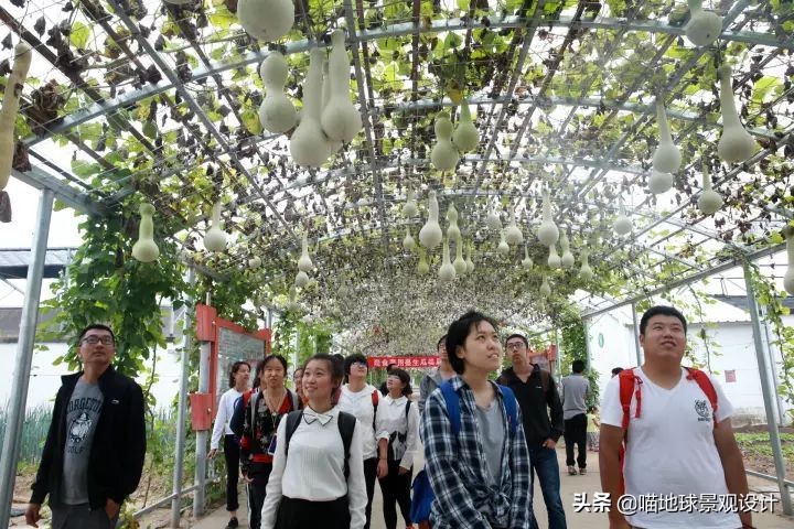 50种低成本打造乡村旅游的创意景观