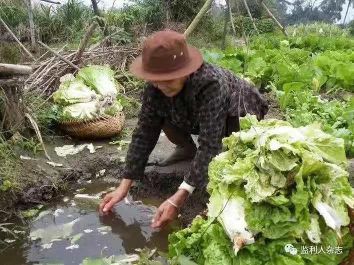 隱忍與退讓：農村老人和子女的相處之道