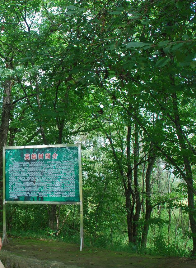 【跋涉边境亲吻祖国】42珍宝岛：镶嵌在乌苏里江中的“英雄岛”