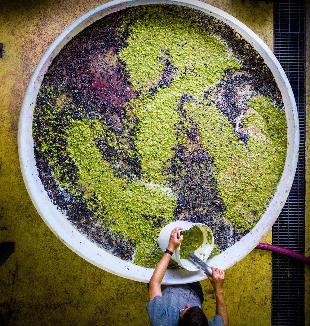 罗纳河谷：法国最大的法定红葡萄酒产区