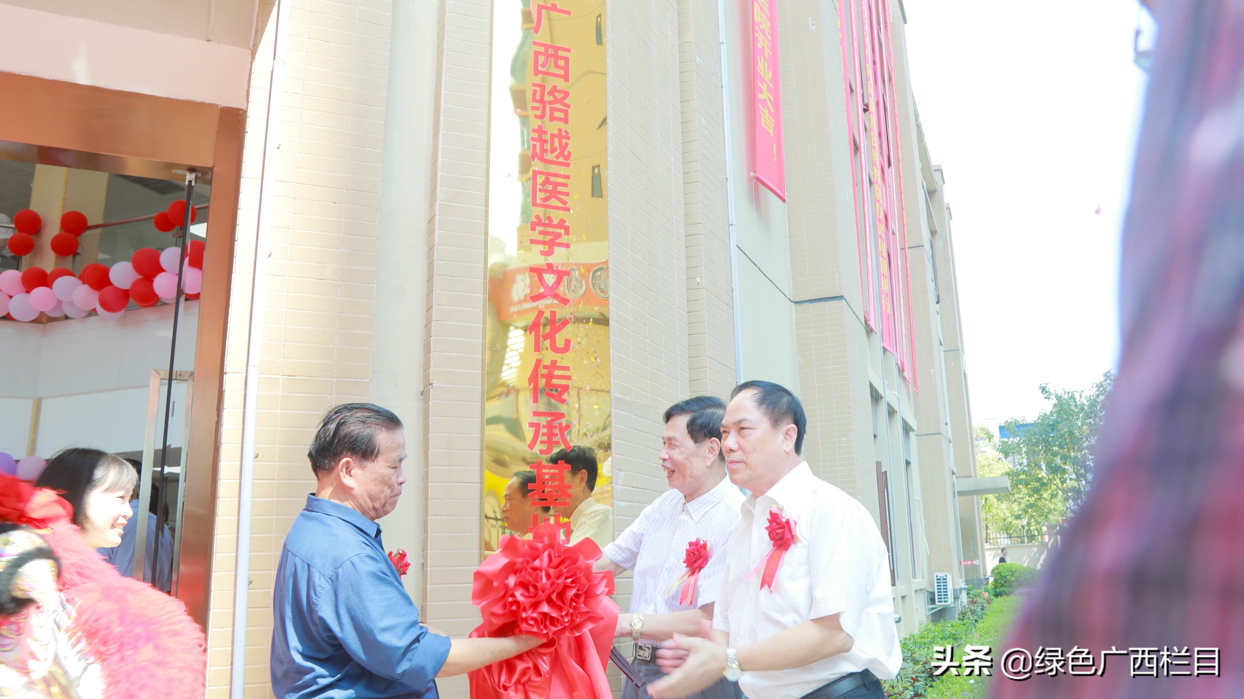 南宁骆越民族医院揭牌成立揭开骆越医药遗产神秘面纱