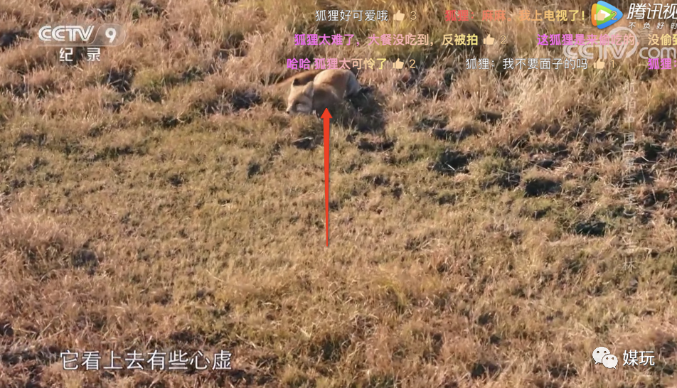 彩蛋不断！这一季《航拍中国》是怎样靠“翻车