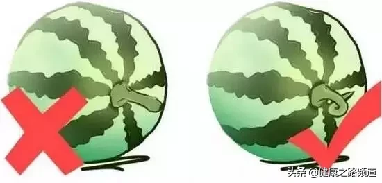 水果分寒热，千万别吃错！最全水果手册，赶紧收藏