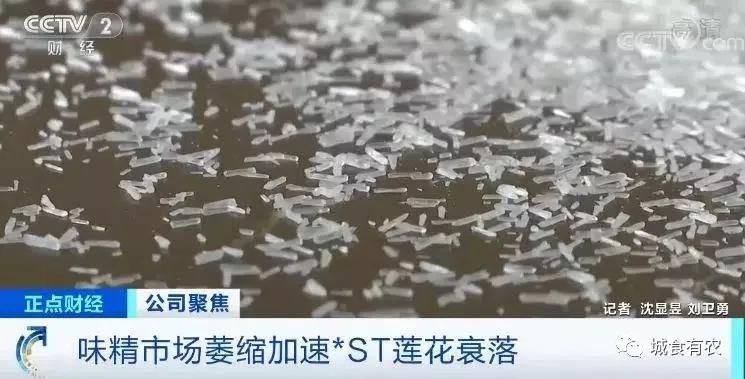 味精的迫害妄想症，鸡精的高级智商税