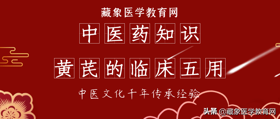 最常见的补气中医药“黄芪”原来临床发现 还有“五用”
