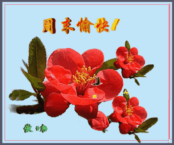 经典的一句话周末愉快 享受周末的心情短语图片