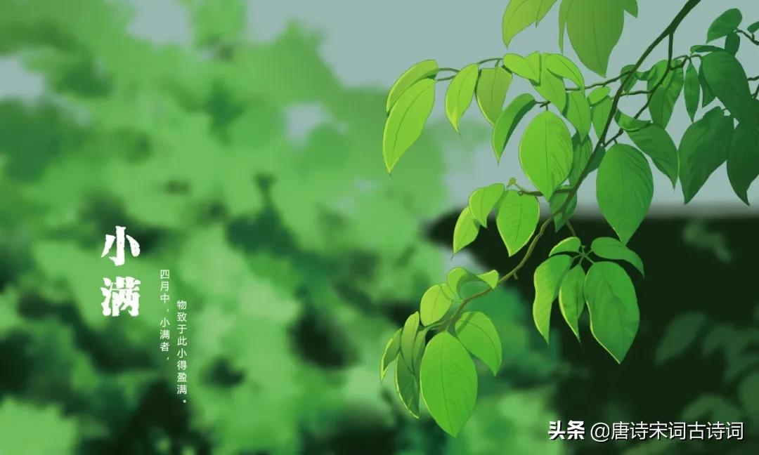 小满节气,赏析明代李昌祺的《小满日口号》-第3张图片-非凡网 小满节气,赏析明代李昌祺的《小满日口号》-第3张图片-非凡网