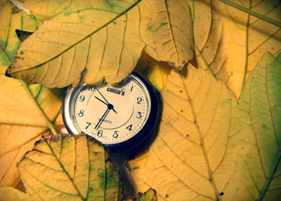 假如给你5000天的“光明”