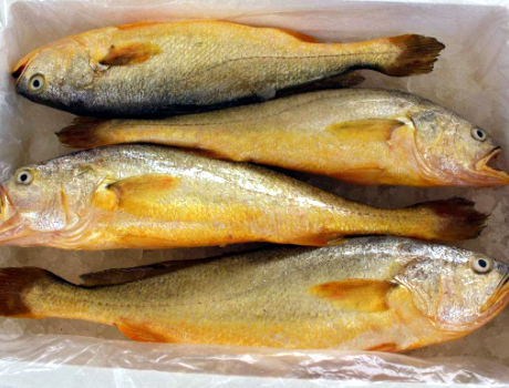 圖片[2]-8塊錢一斤的魚秋后遇到別手軟口感好營養高燉一鍋全家愛-起舞食譜網