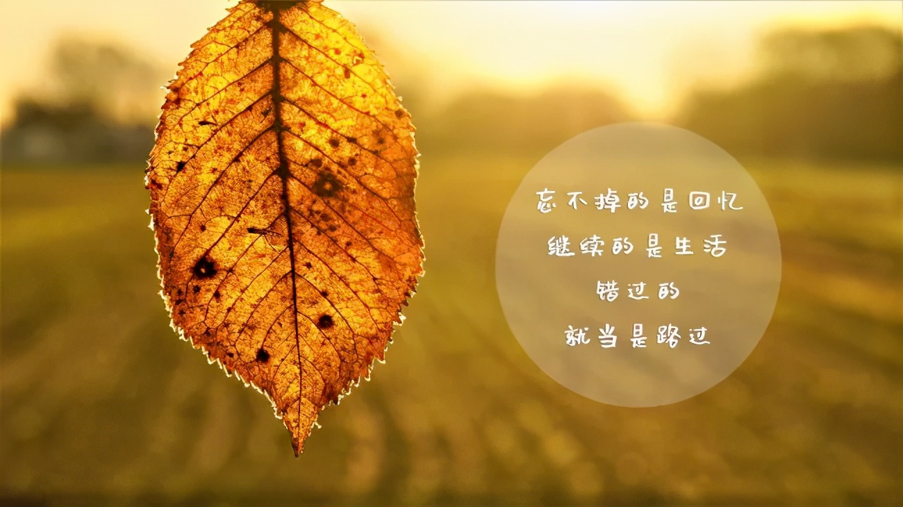 暗示不懂感恩的说说 如何讽刺忘恩负义的人图片