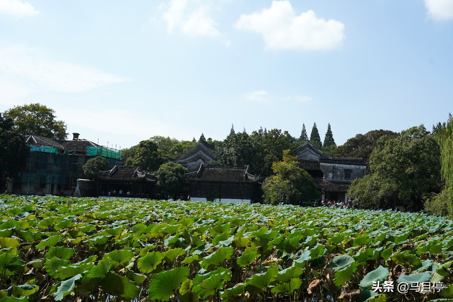 Three ancient towns that can’t be ignored when traveling in Zhejiang, are more original than Xitang in Wuzhen and worth traveling