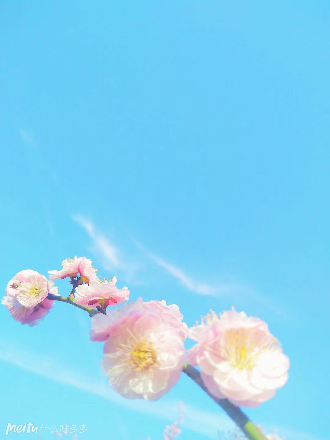 适合当做个性签名的句子：散场难免，尽兴而归