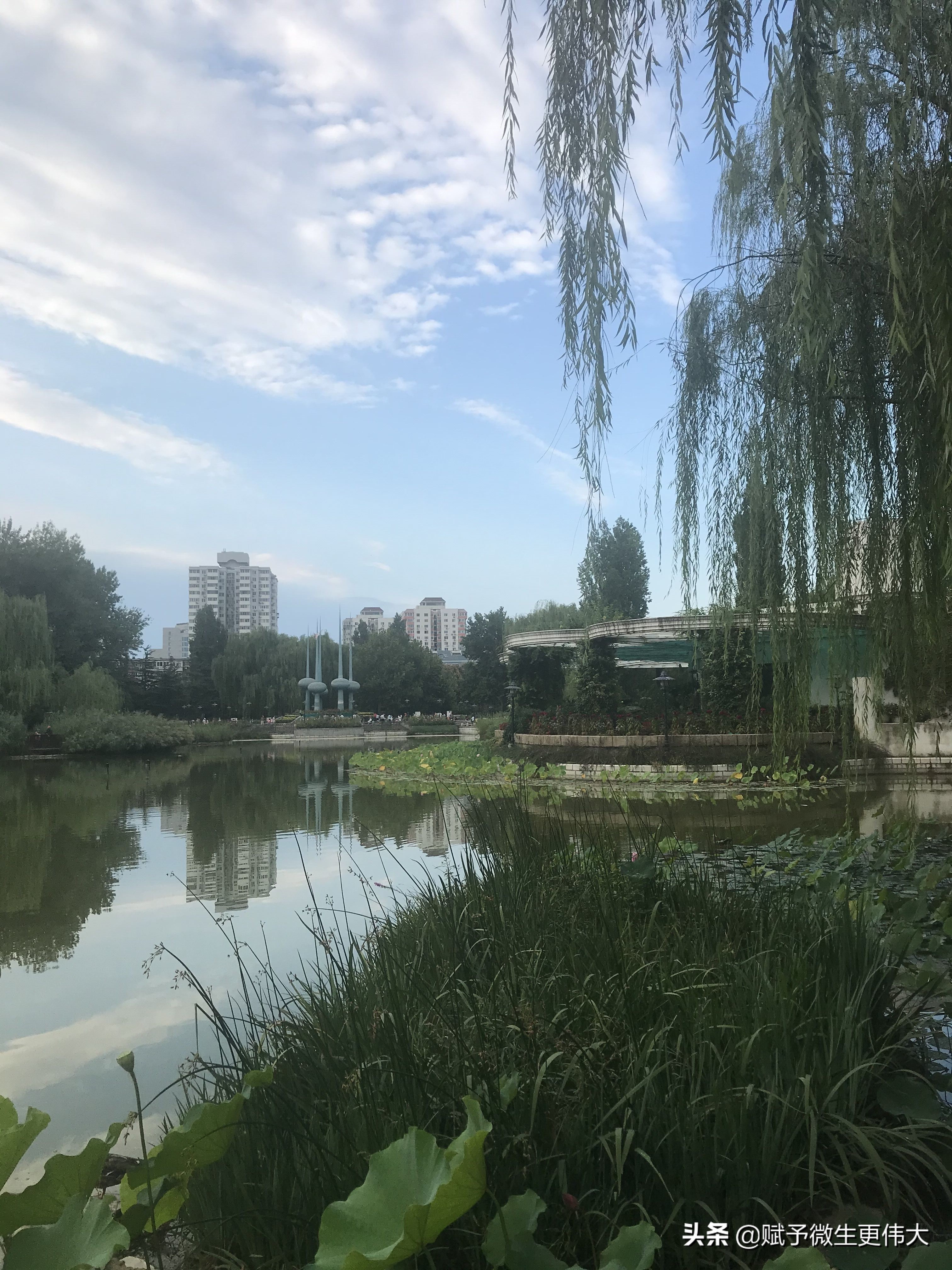 嘘长衣——一应潇雨涨八秋