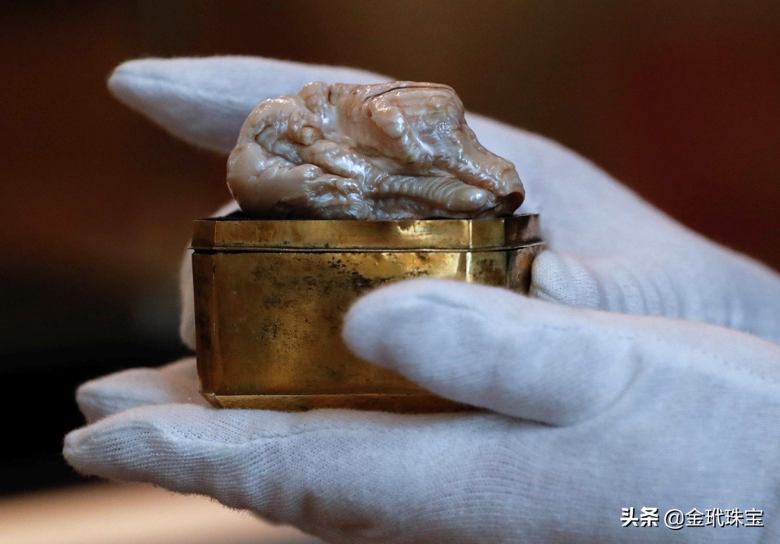 世界上最大的淡水珍珠来自中国，清朝时期被荷兰商人偷渡出境
