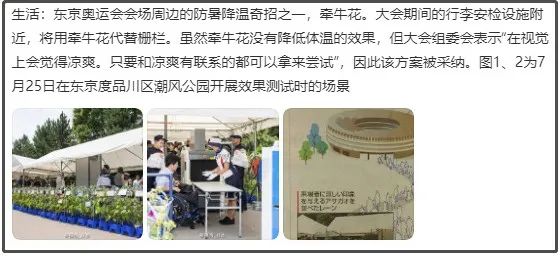 把奥运办成吐槽大会，这次连日本国民都看不下去了：就离谱