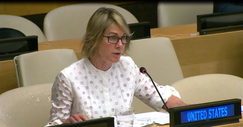 美�大使�取消訪台，國民黨要負責？ �綠委�腦迴路清奇掀罵戰