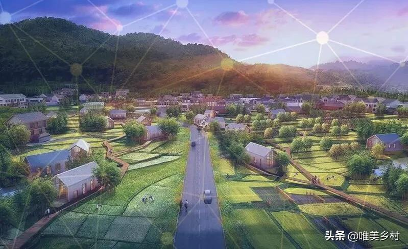 19个国家级城市群的形成，将赋能乡村振兴？优先振兴的农村来了