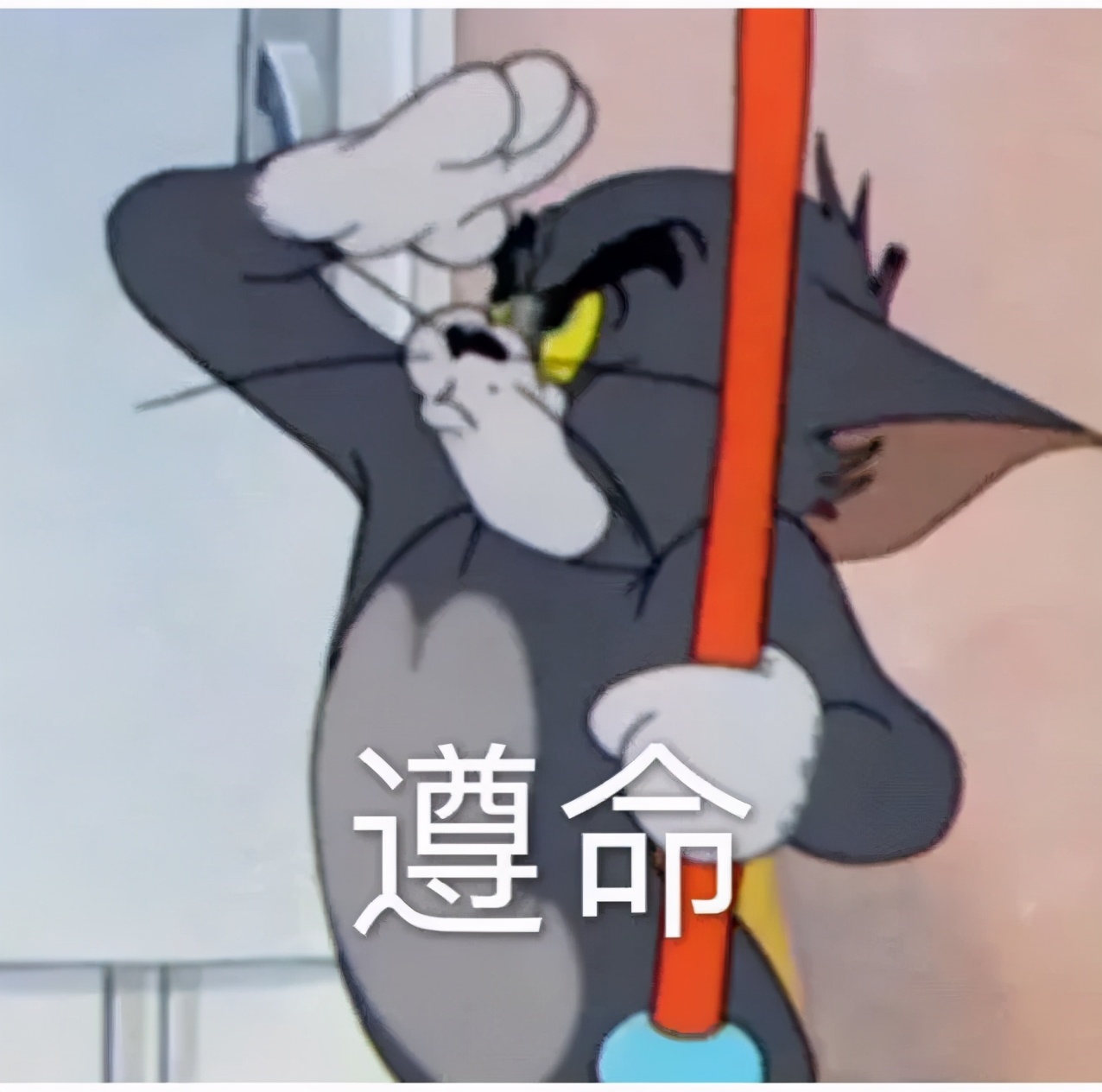 自考这么考，离拿毕业证又近一步了