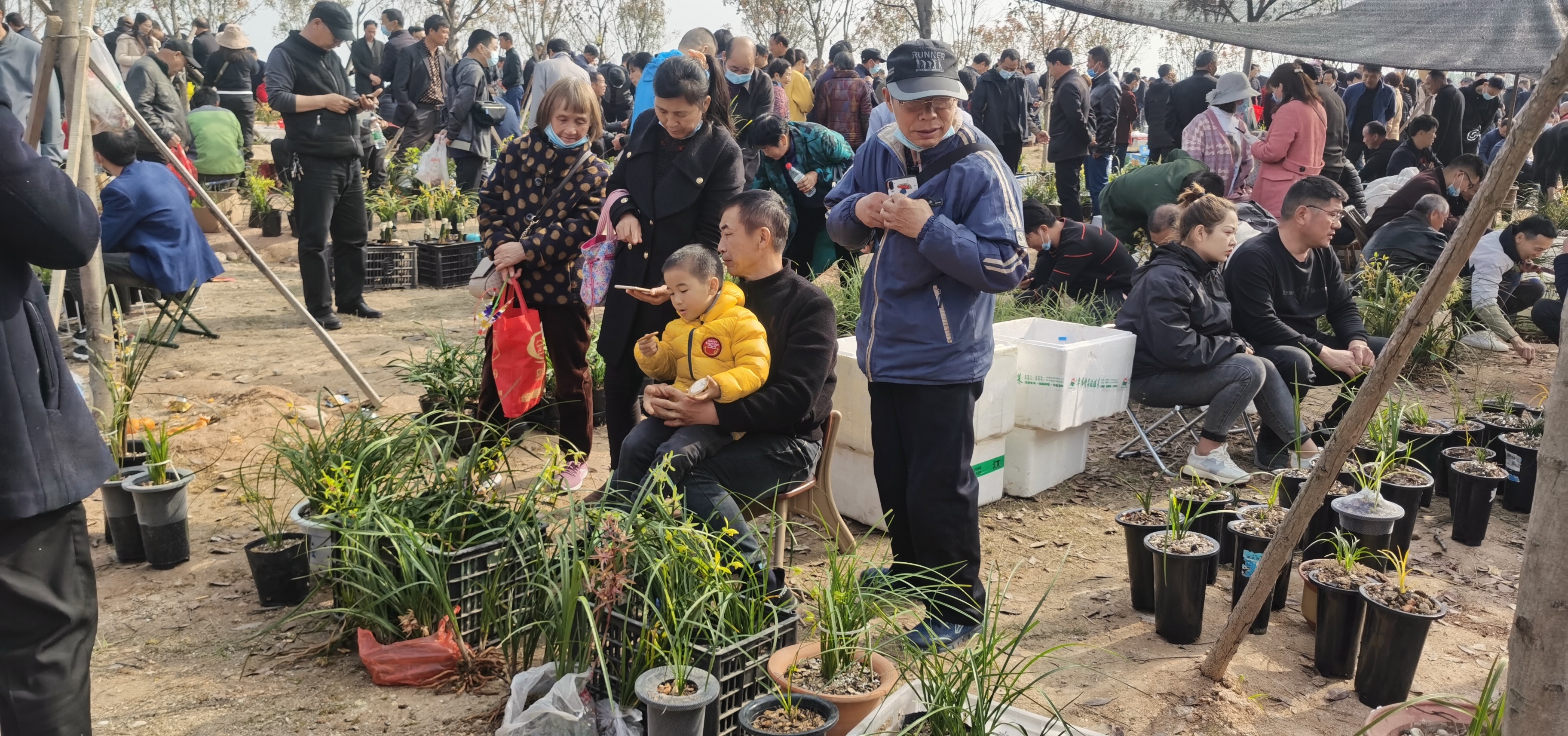 全国兰花爱好者齐聚随县“赏兰”