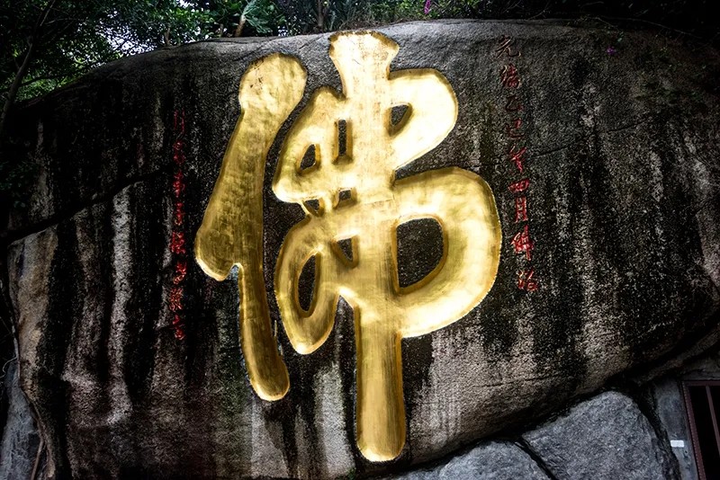 ��ͷס�ڵ��£������������д�����