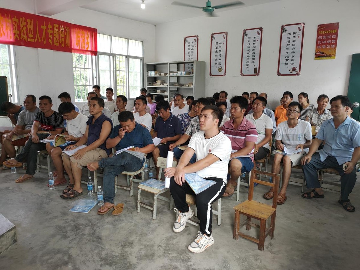 宁明县特色农产品种植技术专题培训会圆满举办