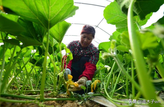 农民的“复工潮”才刚刚开始，怎么又迎来了“