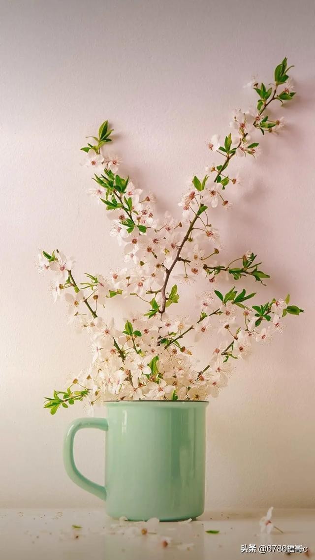 我看自媒体发展的建议