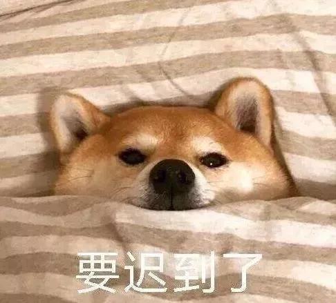 -9℃！断崖式降温！雨雪马上到临沂