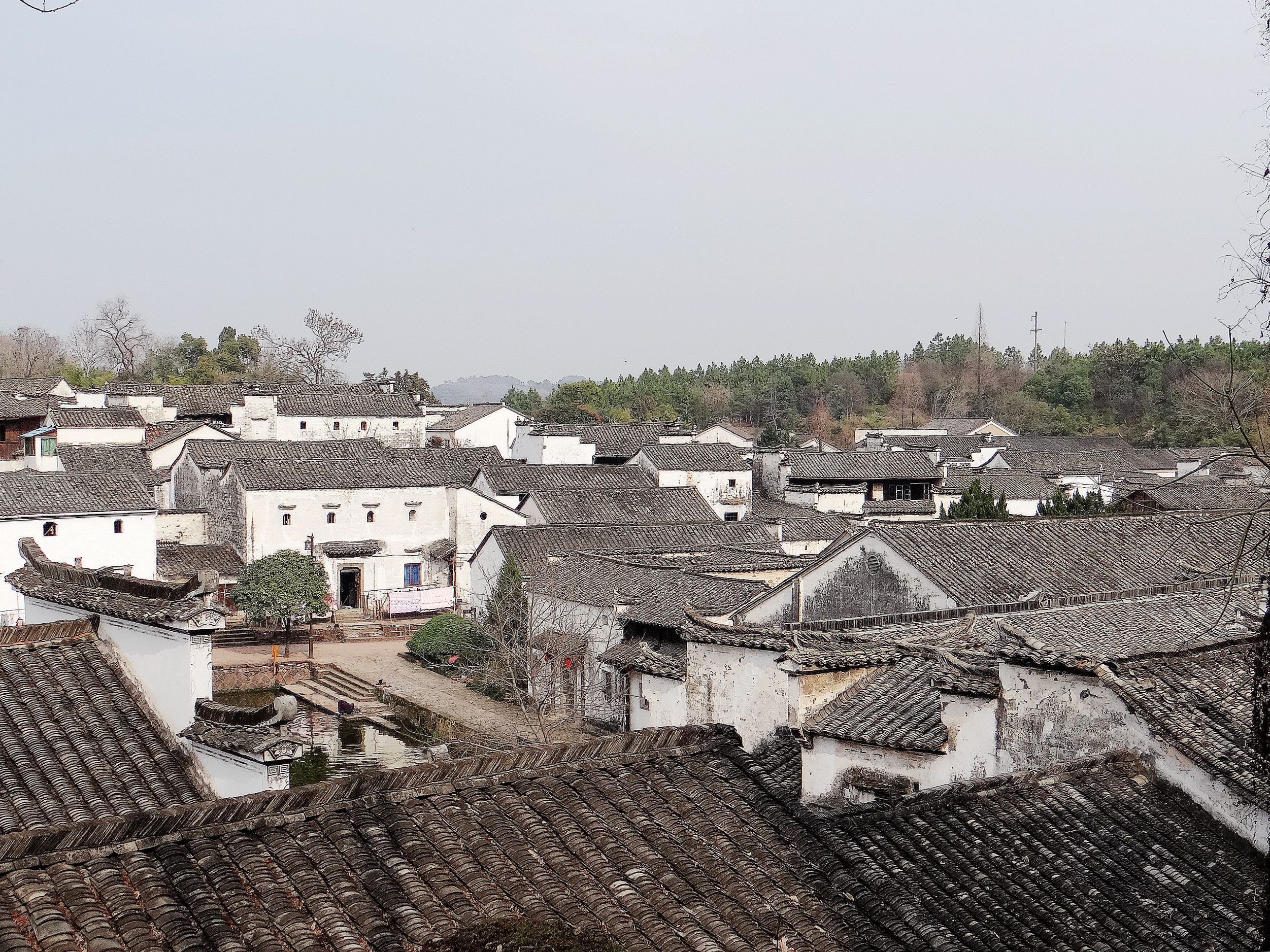 诸葛八卦村构建神奇，后世子孙多以医药为业，这是为了什么原因？