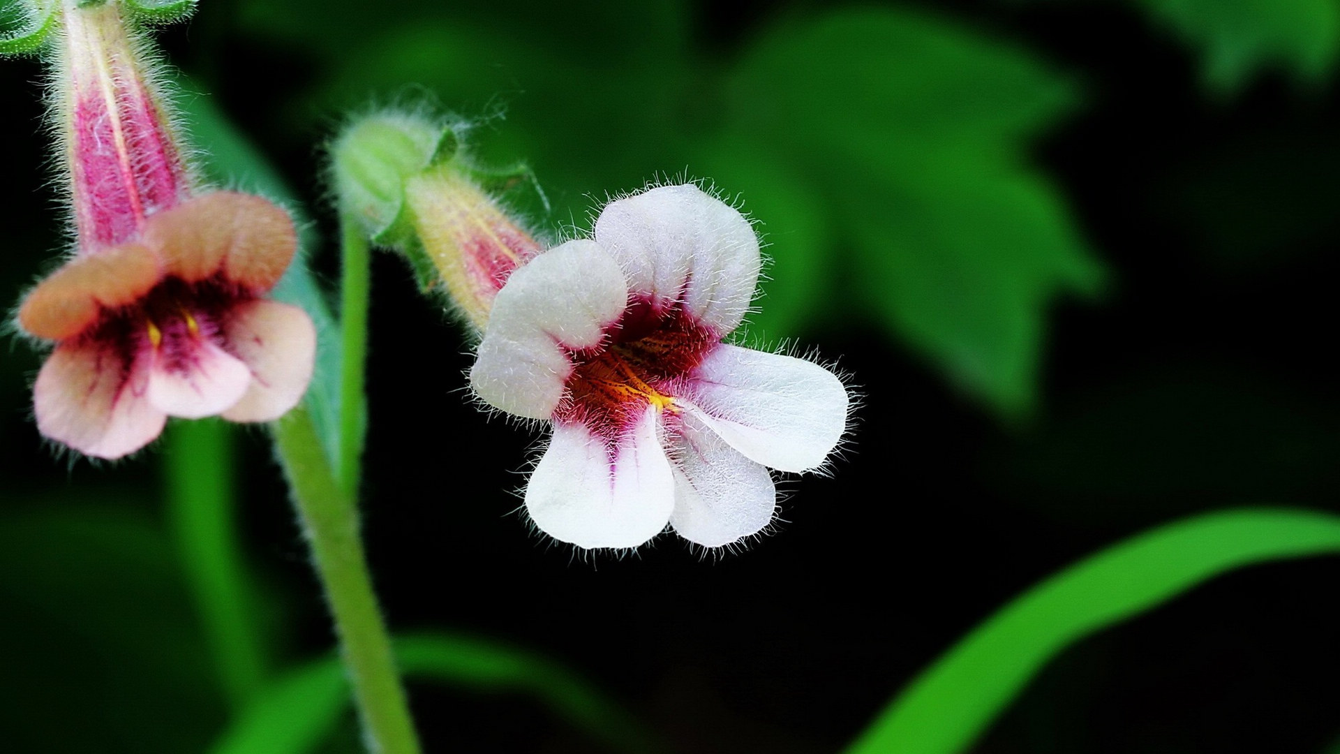 3月12日星座運勢 持之以恆 明察秋毫的四大星座 不做神仙的小妖 Mdeditor