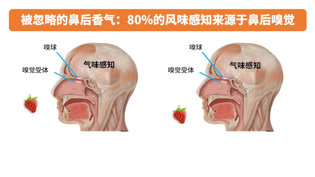 “闻”香知甜，甜更浓！神经风味科学掀起减糖新风暴